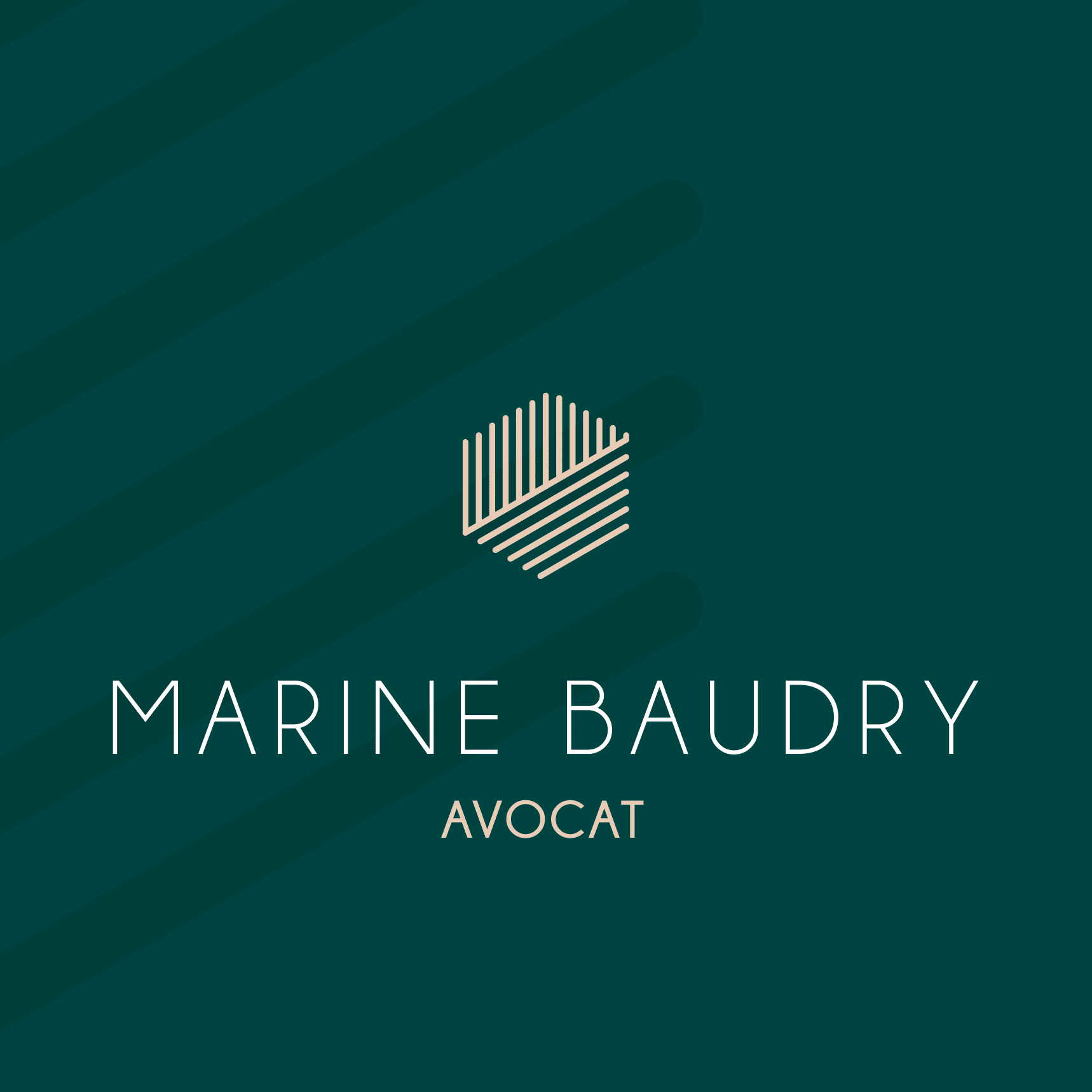 https://preprod.saveur-et-fraicheur.fr/wp-content/uploads/2021/05/marine-baudry-avocat-larochelle.png